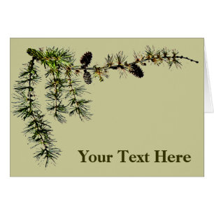 Succursale des larves