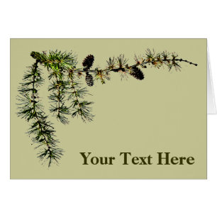 Succursale des larves