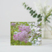 Succursale Lilac avec carte postale Bokeh (Debout devant)