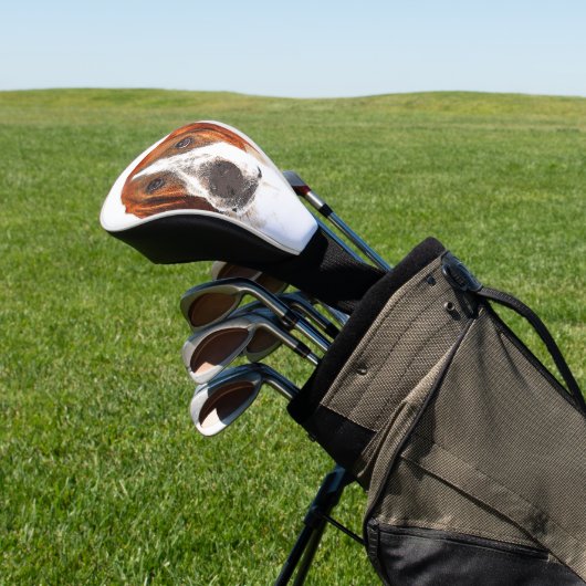 Such a looker, Basset Hound Dog Golfheadcover (Insitu)