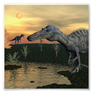 Suchomimus dinosaurussen - 3D rendering Foto Afdruk