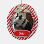 Sucre de canne Ornement Stripe Holly Pour Animaux (Gauche)