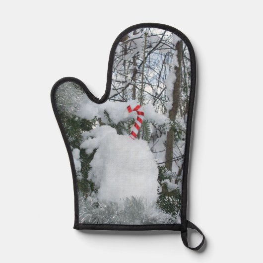 Sucre de canne sur l'arbre couvert de neige (Recto)