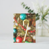 Sucre de canne sur les Cartes d'Arbre et Stickers (Debout devant)