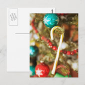 Sucre de canne sur les Cartes d'Arbre et Stickers (Devant / Derrière)