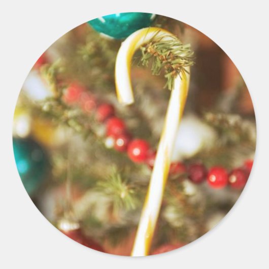 Sucre de canne sur les Cartes d'Arbre et Stickers (Devant)