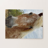 Sucre Le Cheval Appaloosa, Puzzle (Horizontal)