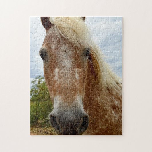 Sucre Le Cheval Appaloosa, Puzzle (Vertical)