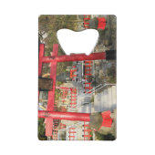 Suehiro Ogami Sanctuaire (Fortune Frog Shrine) (Dos)