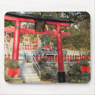 Suehiro Ogami Shrine (Fortune Frog Shrine) Muismat