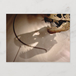 Sue's Shadow Briefkaart