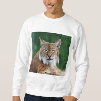 Suéter Lince CCO. Trui