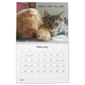 SUÉTIE LE calendrier CAT (Feb 2026)