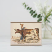 Suffolk Koe - Rustieke  boerderij Art Briefkaart (Staand voorkant)