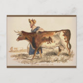 Suffolk Koe - Rustieke  boerderij Art Briefkaart (Voorkant)
