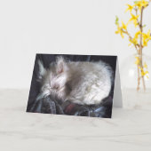 Sugar Beer Sleeping Wenskaart Kaart (Gele Bloem)