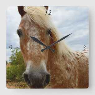 Sugar de Appaloosa-paard, Square Wall-klok. Vierkante Klok