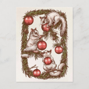 Sugar Glider Christmas-Briefkaart Feestdagenkaart