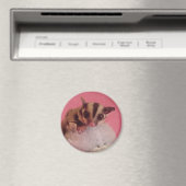 Sugar Glider Joey Magnet Magneet (Insitu (Vaatwasser))