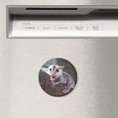 Sugar Glider Magneet (Insitu (Vaatwasser))