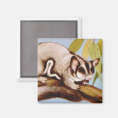 Sugar Glider Magnet Magneet (Voorkant / Achterkant)