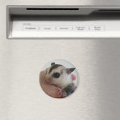 Sugar Glider Magnet Magneet (Insitu (Vaatwasser))