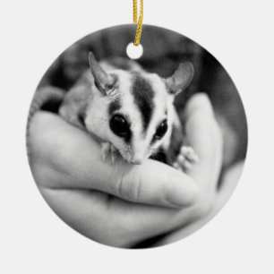 Sugar Glider-ornament Keramisch Ornament