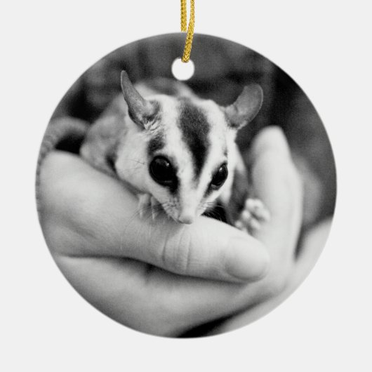 Sugar Glider-ornament Keramisch Ornament (Voorkant)