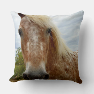 Sugar le cheval Appaloosa, grand coussin à jeter.