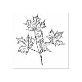 Sugar Maple Stamp Rubberstempel (Afrduk)