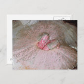 Sugar Plum Briefkaart (Voorkant / Achterkant)