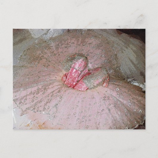 Sugar Plum Briefkaart (Voorkant)