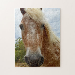 Sugar The Appaloosa Horse, Jigzaag Puzzle Legpuzzel