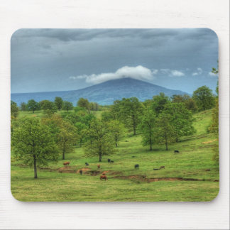 Sugarloaf Mountain Muismat