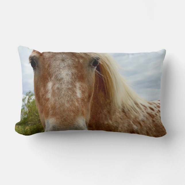 Sugar's Stride: De genade van de Appaloosa Kussen (Voorkant)