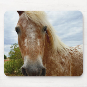 Sugar's Stride: De genade van de Appaloosa Muismat