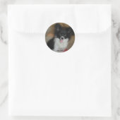 Suiker-Baby Ronde Sticker (Tas)