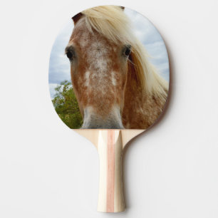 Suiker de Appaloosa-paarden, Tafeltennisbatje