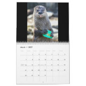 Suiker de otter kalender (Mar 2027)