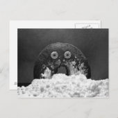 Suikerdonut Briefkaart (Voorkant / Achterkant)