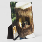 Suikereekhoorn in harige boomvrachtwagen hangend b fotoplaat (Zijkant)