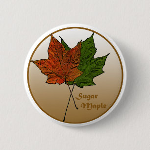 suikeresdoornboom ronde button 5,7 cm