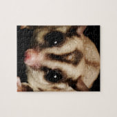 Suikerglider Legpuzzel (Horizontaal)