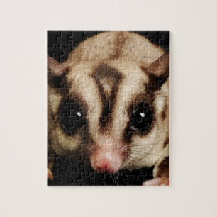 Suikerglider Legpuzzel