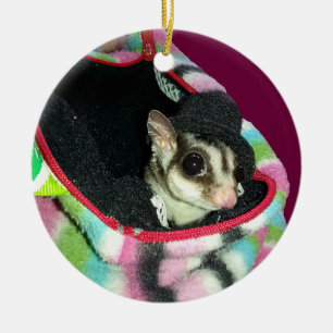 Suikerglijder die een Pet draagt Keramisch Ornament