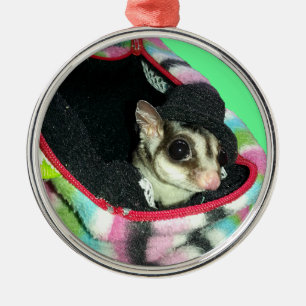 Suikerglijder die een Pet draagt Metalen Ornament