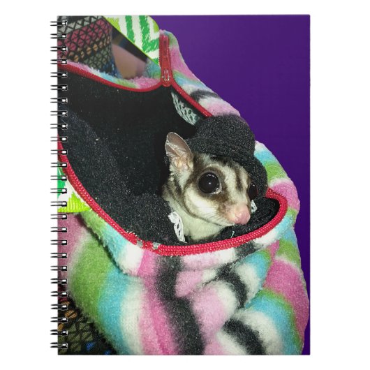Suikerglijder die een Pet draagt Notitieboek (Voorkant)