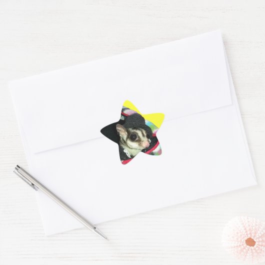 Suikerglijder die een Pet draagt Ster Sticker (Envelop)