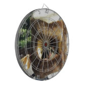 Suikerglijder in boerenveer dartbord (Voorkant Links)