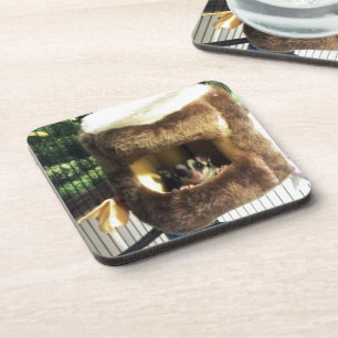 Suikerglijder in boerenveer onderzetter